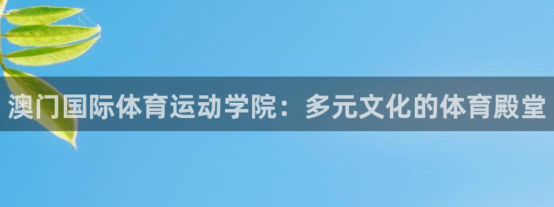 猎豹体育网