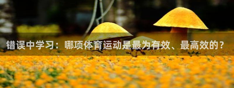 猎豹体育app手机版