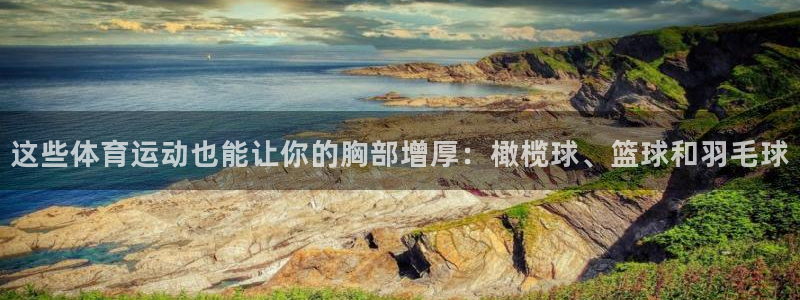 猎豹体育在线观看免费