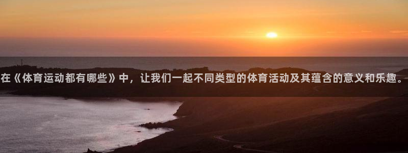 猎豹体育文化传播有限公司