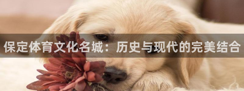 猎豹体育免费观看高清直播：保定体育文化名城：历史与现代的完美结合