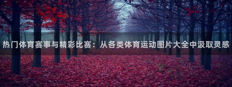 猎豹体育俱乐部