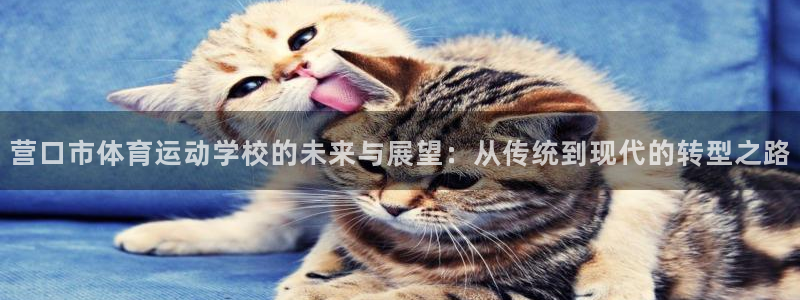 猎豹体育app官方下载