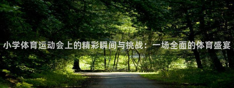 猎豹体育俱乐部