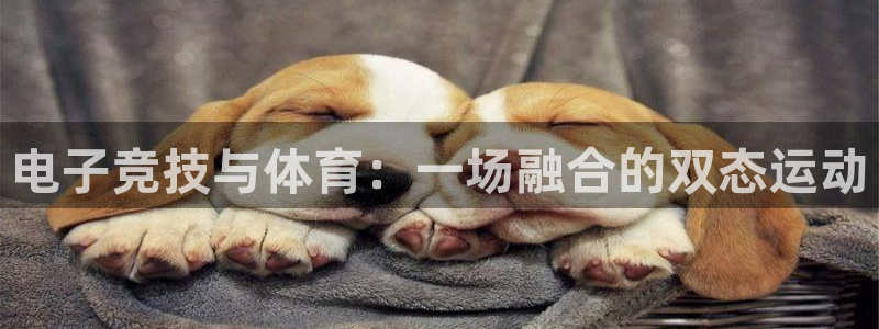 猎豹体育nba