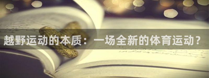 猎豹体育官方网站入口
