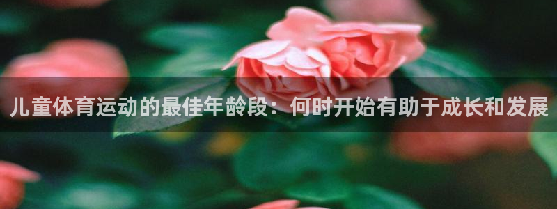 猎豹体育