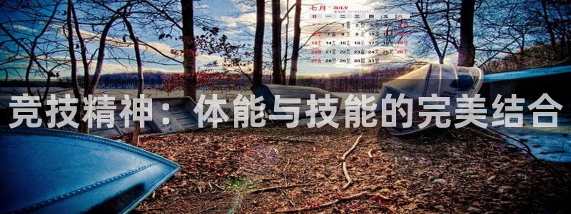 猎豹体育官网：竞技精神：体能与技能的完美结合