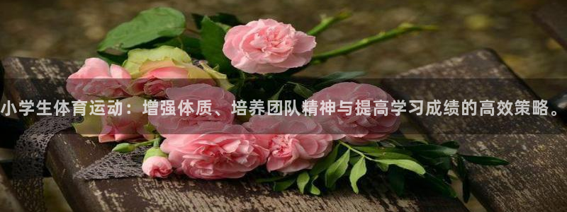 猎豹体育赛事直播：小学生体育运动：增强体质、培养团队精神与提高学习成绩的高效策略。