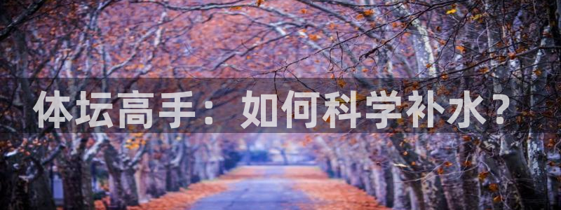 猎豹体育app下载安装