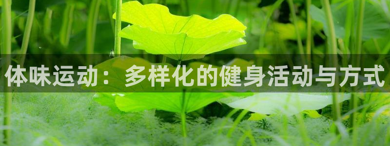 猎豹体育文化：体味运动：多样化的健身活动与方式